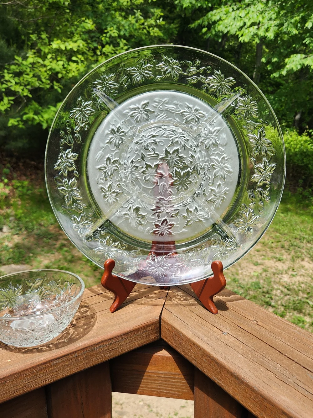 Princess House Fantasia Chip & Dip Serving Platter with Dip Bowl
